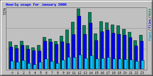 Hourly usage for January 2000